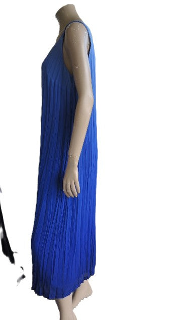 Swish Crushed Georgette Dress
