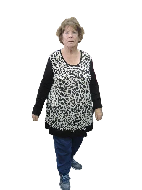 Shelz Swing Style Top